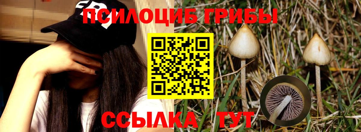 Шарыпово  Псилоцибиновые грибы прущие грибы  где продают наркотики  Галлюциногенные грибы GOLDEN TEACHER  Вход с VPN 