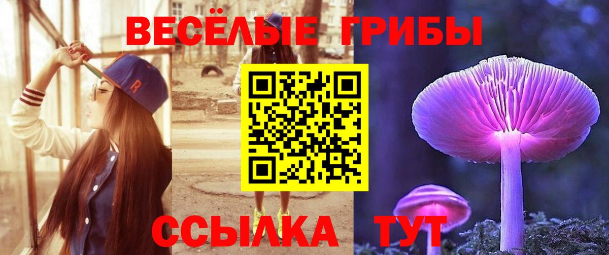 Псилоцибиновые грибы Magic Shrooms Шарыпово